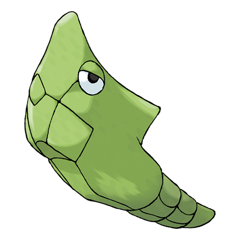 11-metapod