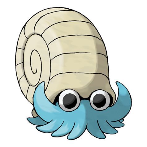 138-omanyte