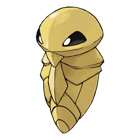 14-kakuna