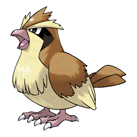 16-pidgey