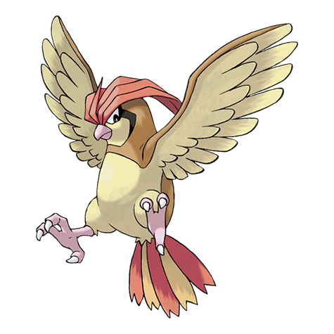 17-pidgeotto