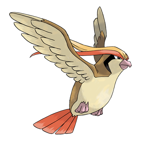 18-pidgeot