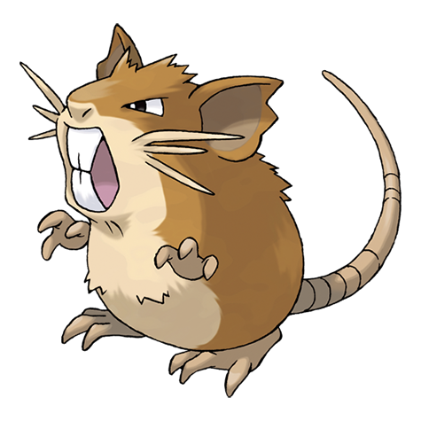 20-raticate
