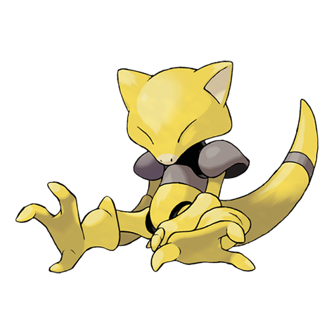 63-abra
