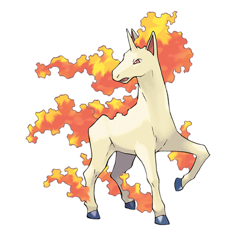 78-rapidash