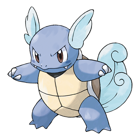 8-wartortle