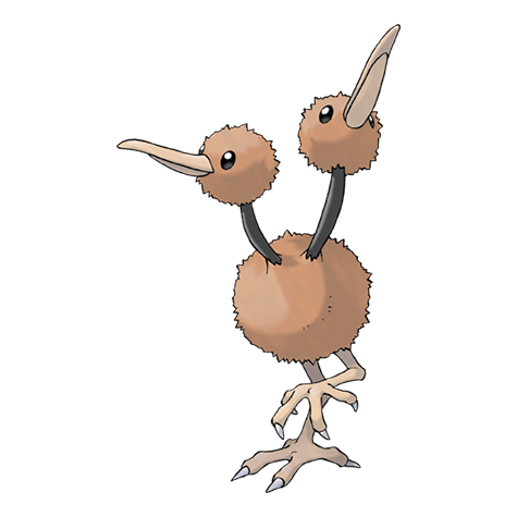 84-duduo