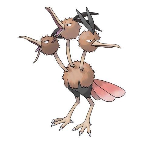 85-dodrio