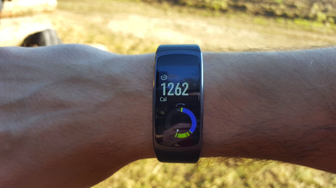Samsung Gear Fit 2 24h log