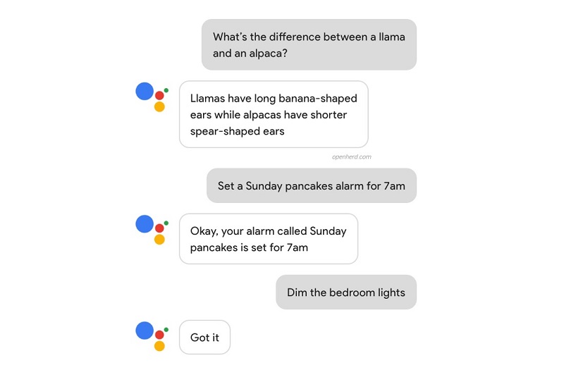 Google assistant