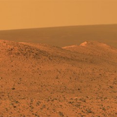Elon Musk bo leta 2024 poslal ljudi na Mars