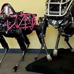 Robotska žirafa zna zložiti posodo v pomivalni stroj