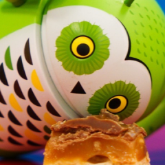 Android 7.0 morda pride že jutri
