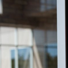 Netflix raste kot za stavo