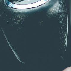 Apple obtožen zaradi smrti petletne deklice