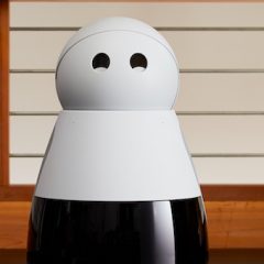 Prvi domači robot po vzoru Pixarjeve risanke