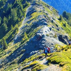 Aplikacija tedna: Slovenia Trails Hiking & Biking