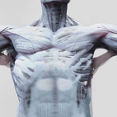 Novi umetni materiali nas bližajo robotom, ki bodo neverjetno človeški