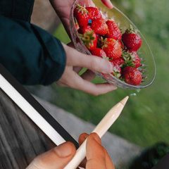 Adobe z novim Lightroom poenostavlja urejanje na poti