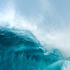 Aplikacija tedna: White Noise