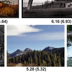 Googlova umetna inteligenca bo namesto vas ocenila vaše najboljše fotografije