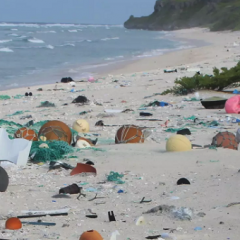 Bodo bakterije pojedle naše plastične odpadke?