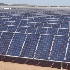 Google, Amazon in Apple narekujejo trend zelene energije