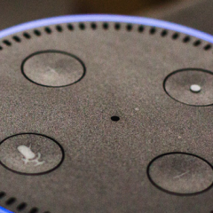 Alexa snemala družinski pogovor in ga poslala sodelavcu