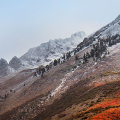 Šest uporabnih orodij za popolno delo z macOS