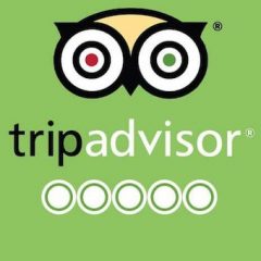 Aplikacija tedna: TripAdvisor – priporočila za potovanja vedno z nami