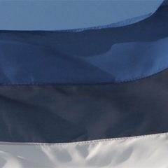 Bo umetna inteligenca v Estoniji nadomestila sodnike?
