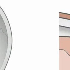 Elon Musk razkril velikopotezne načrte za povezovanje možganov s stroji