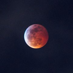 Znanstveniki potrdili prisotnost vode na Luni